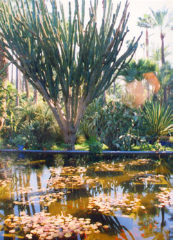 Vergrößern mit Klick - 