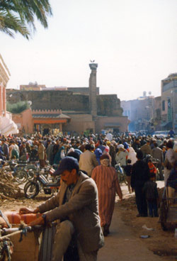 Vergrößern mit Klick - 