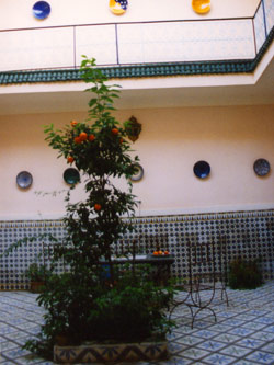 Vergrößern mit Klick - 